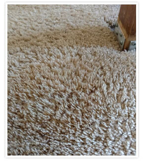 Carpet Dye Services & Bleach Spot Repair 