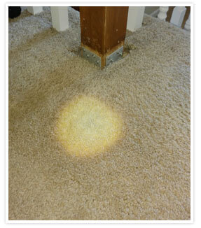 Carpet Dyeing, Bleach Stain Repairs