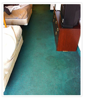 800) 656-9862 Expert Carpet Dyeing Bleach Spot Repair- Call Now